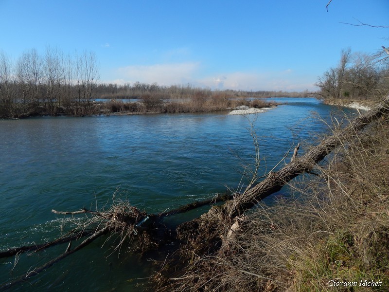 Parco del Ticino: prove di primavera